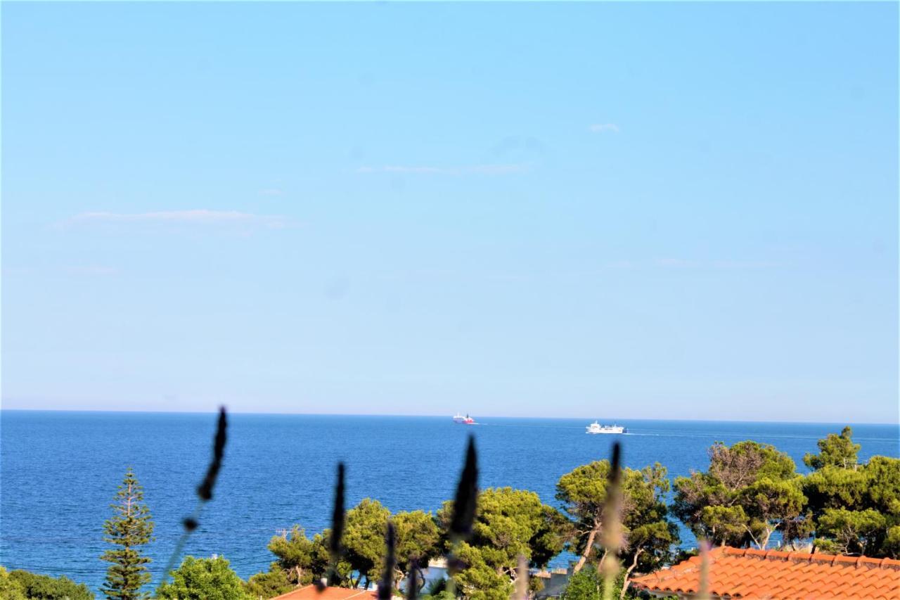 Sea View Apartment 15 Min From Athens Airport Néa Mákri Esterno foto